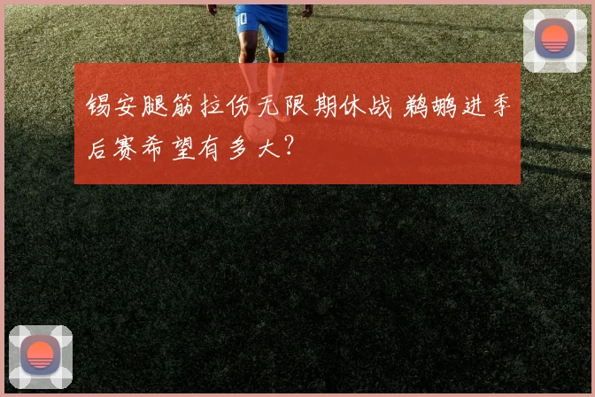 锡安腿筋拉伤无限期休战 鹈鹕进季后赛希望有多大？